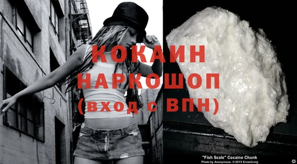 крисы Новозыбков