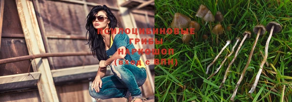 не бодяженный Алексин