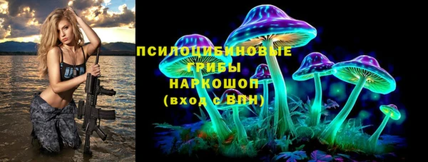 не бодяженный Алексин