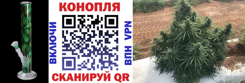 Бошки Шишки семена  как найти наркотики  shop формула  Орлов 